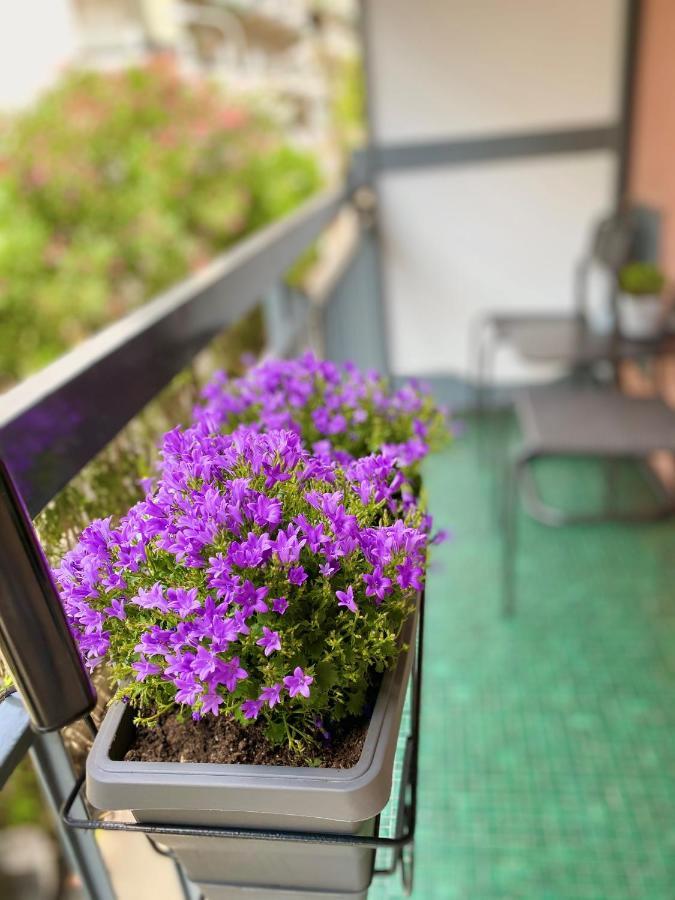 Bella Vacanza - City Center -Air Conditioning -Wi-Fi Rapallo Luaran gambar